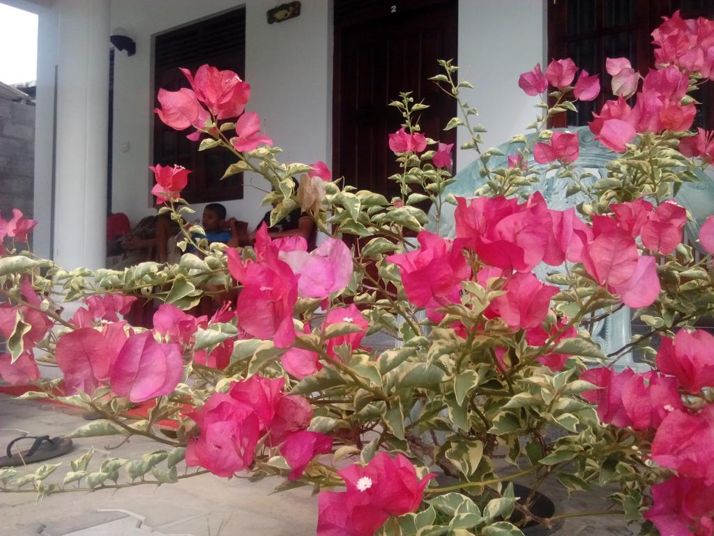 Radha Tourist Home Polonnaruwa Esterno foto