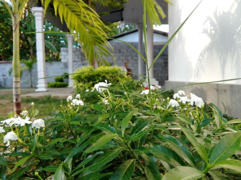 Radha Tourist Home Polonnaruwa Esterno foto